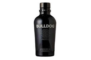 Bulldog