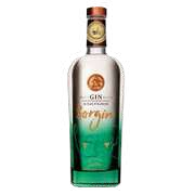 Sorgin